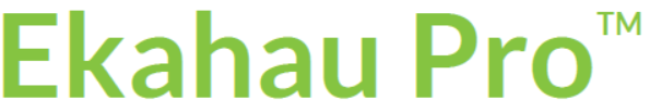 logo 1.PNG